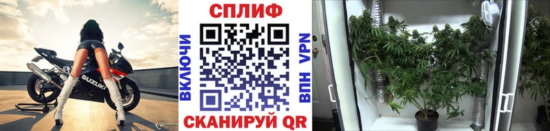 Марихуана Арсеньев