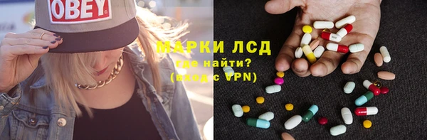 хмурый Сатка