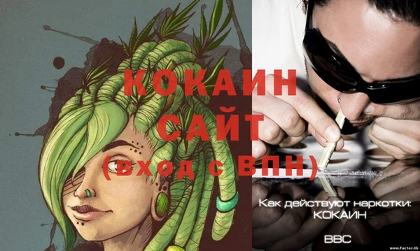 хмурый Сатка
